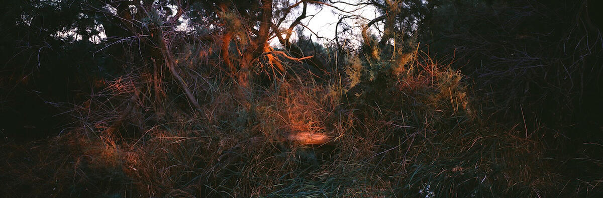 Untitled Untitled