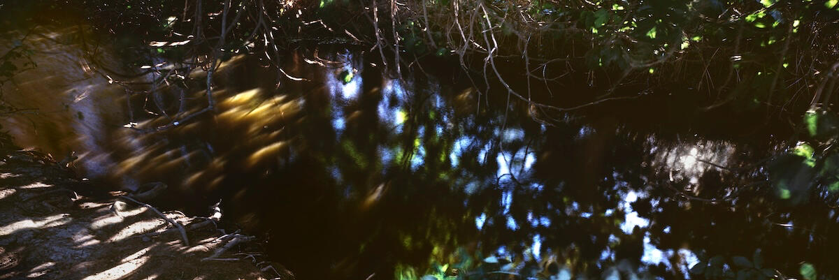 Untitled Untitled